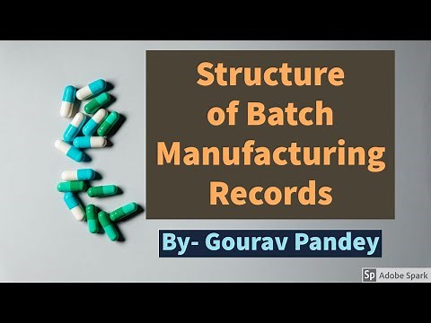 Structure of Batch Manufacturing Record