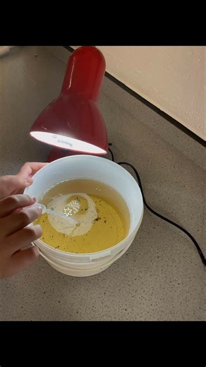 Scholars took samples of water from the pond and looked at droplets under a microscope to observe examples of small aquatic organisms. Needless to say, they really enjoyed the experience! | Astrea Academy Woodfields | Facebook