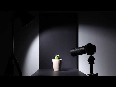 Macro Timelapse Photography — Setup, Exposure Tips & Real Sequences