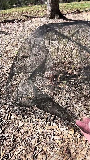 Stronger Garden Mesh Netting for Outdoor Plants Overview | Is It Worth It? #ad #amazoninfluencer