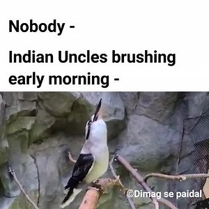 🤣🤣 | Meme Generator