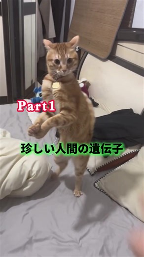 珍しい人間の遺伝子とその特徴