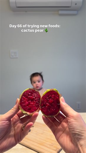 Melody Lim | Trying new food | Baby foodie | Easy recipes on Instagram: "A cactus pear, also known as prickly pear or tuna, is a sweet, juicy fruit from the Opuntia cactus with vibrant flesh (red, green, yellow) and tiny, painful spines (glochids) on its skin, requiring careful handling (already removed when purchased at grocery store!); it’s rich in nutrients like Vitamin C and fiber, enjoyed fresh, juiced, or in jams, with flavors similar to watermelon and pear. Starting solid foods with my ba