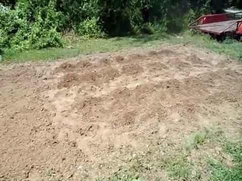 HOW TO GROW TOBACCO PART 6: Transplanting Outdoors