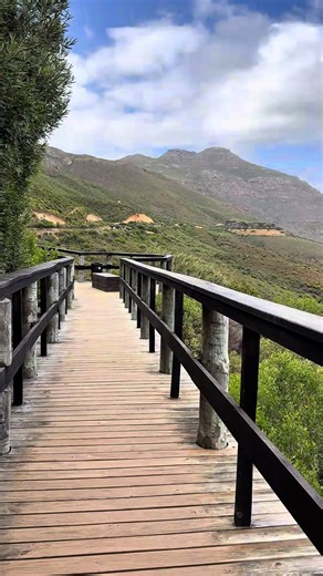 Just before Chapman’s Peak Drive begins, this quiet wooden bridge offers a secret view of the Atlantic — easy to miss, hard to forget. #chapmanspeak #capetown