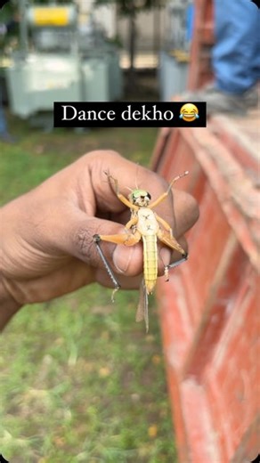 All rounder Editor✍️🤙 on Instagram