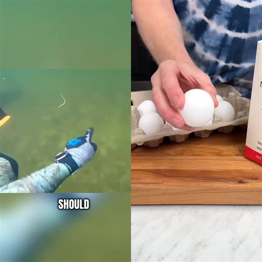 danfrank_1989 (@danfrank_1989)’s videos with original sound - danfrank_1989