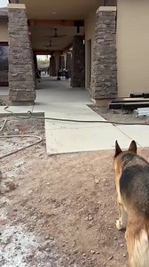 1.8K views · 79 reactions | What's going on this week at the Ranch?...