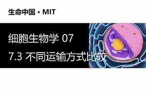 【细胞生物学】7.3 不同运输方式比较