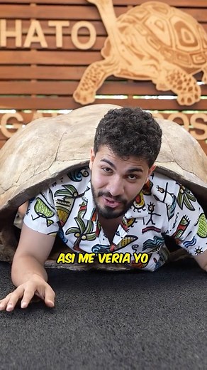 Me convertí en tortuga gigante #impactante #fy #viral | Araya Vlogs