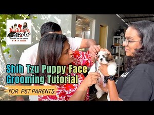 How to Groom a Shih Tzu Puppy’s Face 🐶✂️ | Step-by-Step Guide for Pet Parents #shihtzu