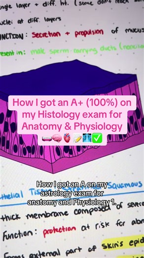 How I got an A in histology for Anatomy and Physiology! These are my best tips, tricks and hacks for tissues in A&P! #fyp #anatomy #anatomyandphysiology #nursing #physiology