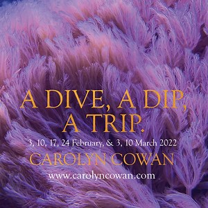 A Dive, a Dip, a Trip