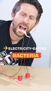 72K views · 1.2K reactions | Is it possible to eat electricity? ​⚡ | The Action Lab | Facebook