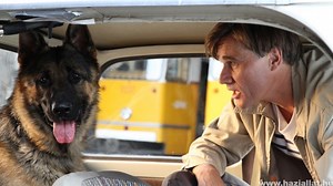 A 10 legjobb állatos film, amivel gyorsabban telik a karantén