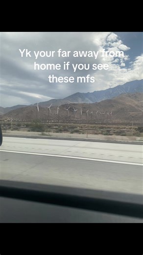 The Surprising History of Cheeseburgers