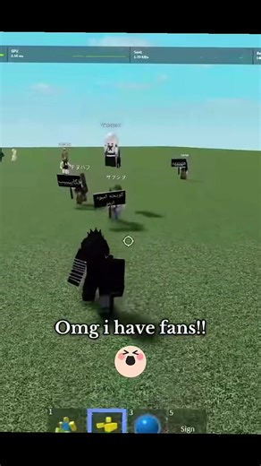 Celebrating My Biggest Ragdoll Fans!