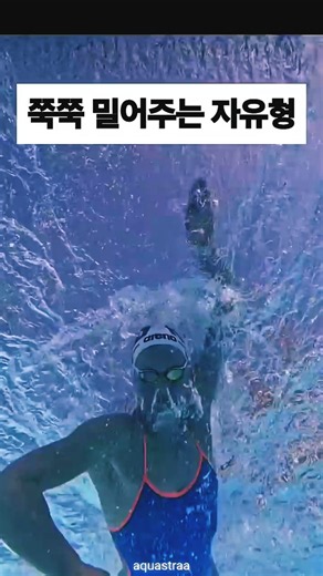 쭉쭉 밀어주는 자유형 #swimming #swim #수영 #freestyleswimming