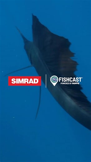 Simrad Yachting on Instagram: "FISH WHERE THE FISH ARE. Know exactly where to go—and when. FishCast® subscription-based fishing forecast uses @roffsfishing data and predictive models to show top fishing spots directly on your compatible Simrad® display. Disclaimer: North America East Coast and Gulf Coast coverage exclusively. Only compatible with Simrad® NSX®, NSX® ULTRAWIDE, and NSS® 4. Subscription terms and conditions apply. See link in bio for more info."