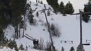 151K views · 865 reactions | Take a look at this moose caught on camera! Tony Landry was with his friend Pat Huckfeldt near Philipsburg. At first they said it looked like the moose was dancing, when they got closer and realized he was caught in a rope attached to a telephone pole. They called the game warden who tranquilized the poor guy and cut him loose. | NBC Montana | Facebook