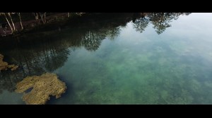 Check out this amazing drone footage from the stunning Milton Abbas showing some of its elusive residents...including a sneaky pike! It's amazing to see the whole topography and weedbeds from a different perspective...truly eye opening! | CC Moore & Co Ltd