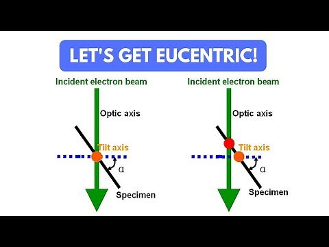 Eucentric height and your scanning/transmission electron microscope