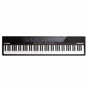 Alesis Concert  favorable buying at our shop