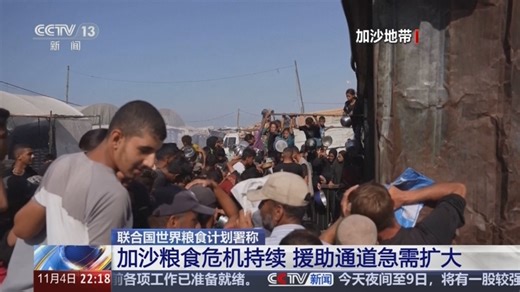 [国际时讯]联合国世界粮食计划署称 加沙粮食危机持续 援助通道急需扩大