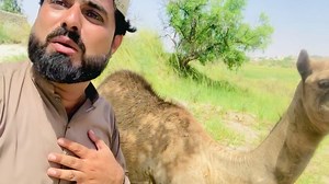 Ali Asghar Qadri on Reels