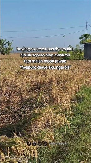 Woo #jokes #rindicahmbaon #petanimilenial #madiun24jam #petanimuda #agrikultur #petaniindonesia