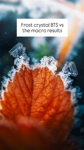 Kristine | Winter Frost Nature Photography | Tutorials on Instagram: "Have you ever seen hexagonal frost crystals this close? ❄️ My macro photography setup: Sony a7 IV & Sony FE 100mm F2.8 Macro GM OSS Edited with: Lightroom, Photoshop #macrophotography #naturephotography #flowerphotography #SonyAlpha #MadeWithLightroom #MadeWithPhotoshop #frostcrystals"