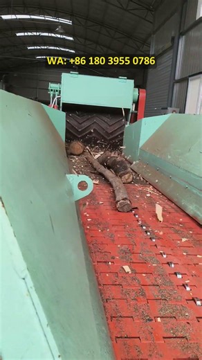 Drum chipper, wood chipper, real-life demonstration of biomass wood chip production.