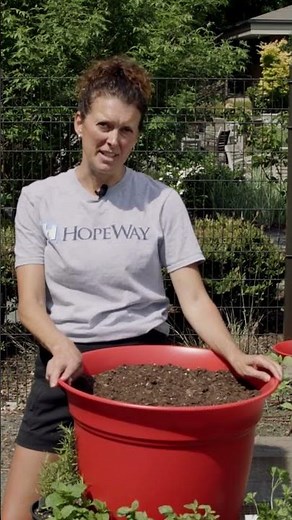 How to Practice Horticultural Therapy at Home