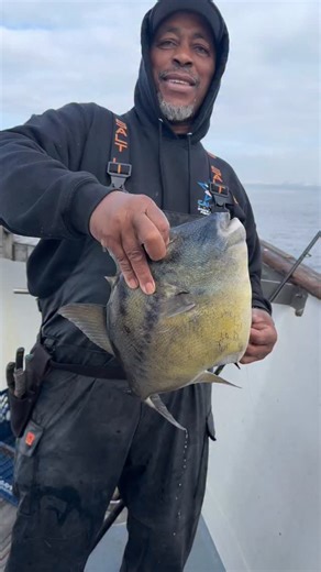 ⚠️ Trigger warning!! ⚠️ The Christmas time triggerfish bite continues, with 10 caught on the Saturday AM trip alone! If you’re coming out fishing, be ready to PULL!! Half day fishing trips departing daily at 7:30 am and 1 pm. Tickets start at only $50. Call the office at (310) 372-2111 or go to www.redondospecial.com to book online and use promo code “976TUNA” to save $5 off adult fares! #fishing #ocean #la #sea | Redondo Special