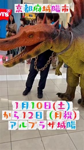 せかいの恐竜・ワンダーランド on Instagram: "＼アル・プラザ城陽に 「せかいの恐竜・ワンダーランド」がやってくる‼️🦖🔥／ 🗓 1月10日（土）〜12日（月・祝） 📍 アル・プラザ城陽 10:00-17:00 〒610-0111 京都府城陽市富野荒見田112 城陽に大迫力の恐竜イベントが3日間限定で登場‼️ 今回はレアキャラ大集合で見逃せない…！ ⸻ 🫣🔥注目ポイントはこちら⬇️ 🦖 レア恐竜「スピノサウルスのフィン」がやってくる‼️ 👉 フィンと一緒に 🎯 「だるまさんが転んだ」ゲームに挑戦しよう！ 🦍 巨大コング・マウンターとも だるまさんが転んだ‼️ ドキドキ＆大盛り上がり間違いなし🔥 🐻 せかわんキャラクターも登場！ ・ホラアナグマの パンちゃん ・さらに… 👀 見たことない新キャラクターも現れるかも⁉️ 🎨 恐竜フィギュア色ぬりワークショップ 世界にひとつだけのオリジナル恐竜を作ろう✨ ⸻ 見て・遊んで・作って楽しめる ドキドキワクワクの恐竜ワールド🦖✨ 家族みんなでぜひ遊びに来てね！ ⸻ #せかいの恐竜ワンダーランド #アルプラザ