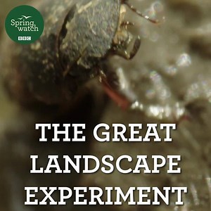 1.4M views · 3.3K reactions | In one corner of Sussex, a couple took a leap of faith 20 years ago, and handed 3,500 acres of their farmland estate to nature. By rather unorthodox means, they looked to our ancient past for inspiration. This is what happened next… #Springwatch  | BBC Springwatch | Facebook