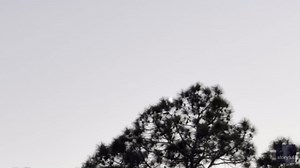 SpaceX's Starship Explodes Into Impressive Technicolor Cloud Over Florida