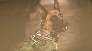 El Paso County Sheriff's Office remembers K9 Jinx, killed in line of duty in 2022