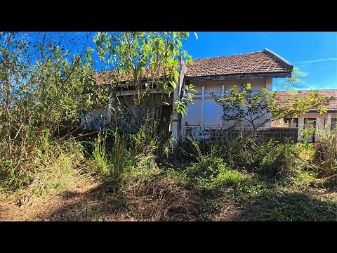 Mowing Grass & Cleaning an Abandoned Yard | From Jungle to Clean Space!