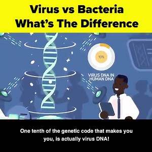 530K views · 4.6K reactions | With a Pandemic sweeping across the...