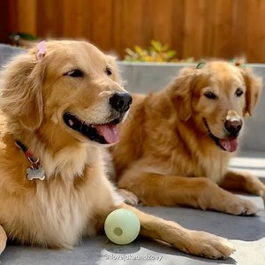 18K views · 7.4K reactions | #waybackWednesday ... not really, this...