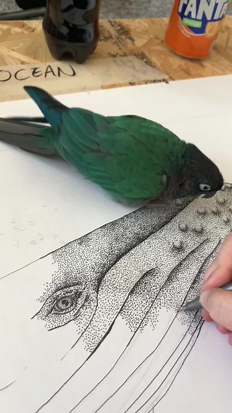 Stippling Art: Painting Beautiful Birds with Green Cheek Conure