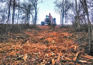 Broyage forestier par la société ETA Sylvain Buisson