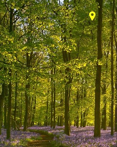 Le distanze sono relative con la Coolpix P950, anzi si annullano. E tu puoi arrivare ovunque. Le lunghezze focali da 24 a 2000 mm ti permettono di vivere ogni cosa da vicino e creare eccezionali foto e filmati in 4K. https://bit.ly/3a9lnXy | Nikon