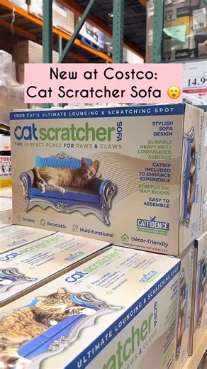 New at Costco, Cat Scratcher Sofa. 🐱 stylish sofa design 🐱 catnip included 🐱 durable heavy-duty corrugated surface 🐱 easy to assemble, screwdriver included • #catscratcher #costcolife #costcoaisles | Costco Aisles