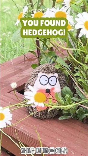 Can you spot the creatures?! 🐈😻🦔