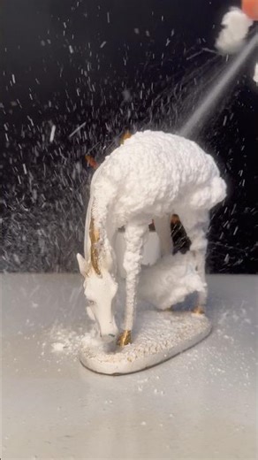 I spend holiday in that desert then I saw piece of mud near camel’s feet it’s remains kings🥰🎠