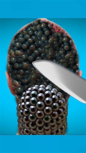 Doctor Checkup ASMR 👩‍⚕️