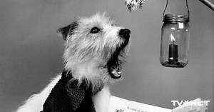 12 skaistas latviešu dziesmas Ziemassvētku vakaram