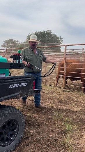 238K views · 2.3K reactions | Spraying cattle for flies with our Enduraplas sprayer Enduraplas Can-Am Off-Road #CanAm #Defender #KeepRanchin #KingOfTikTok #RanchLife #Ranch #RanchTok #AgTok #Cattle #Cows #SprayingCattle | Bar 7 Ranch | Facebook
